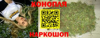 ешки Новозыбков