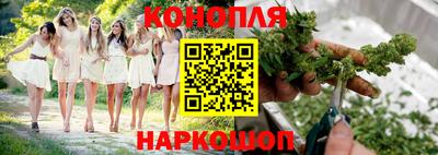 ешки Новозыбков
