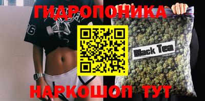 ешки Новозыбков