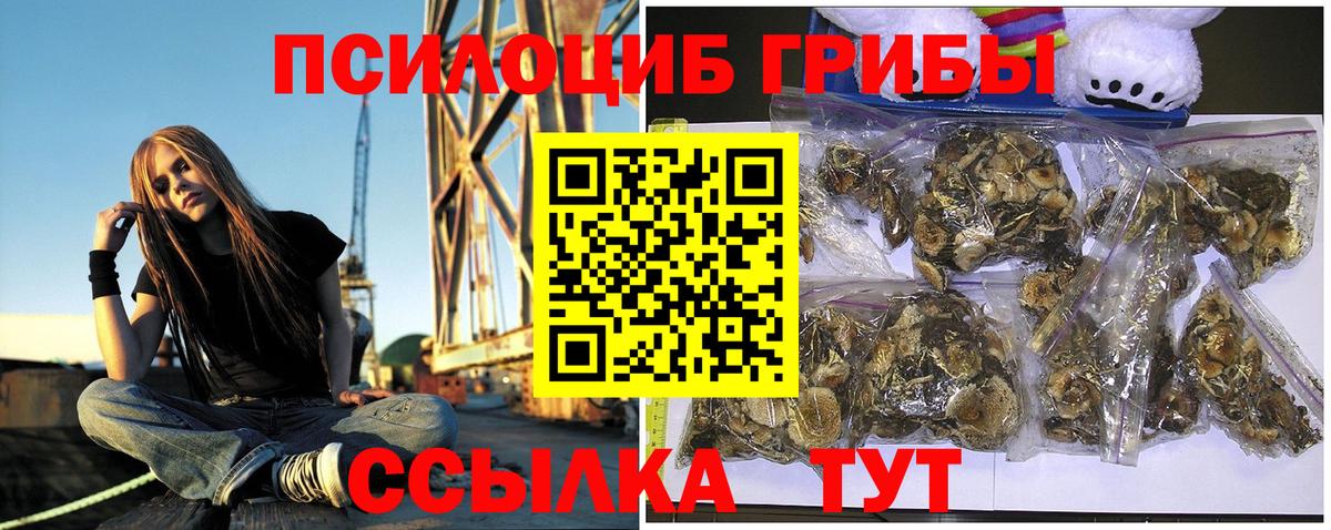 Псилоцибиновые грибы мухоморы Советский