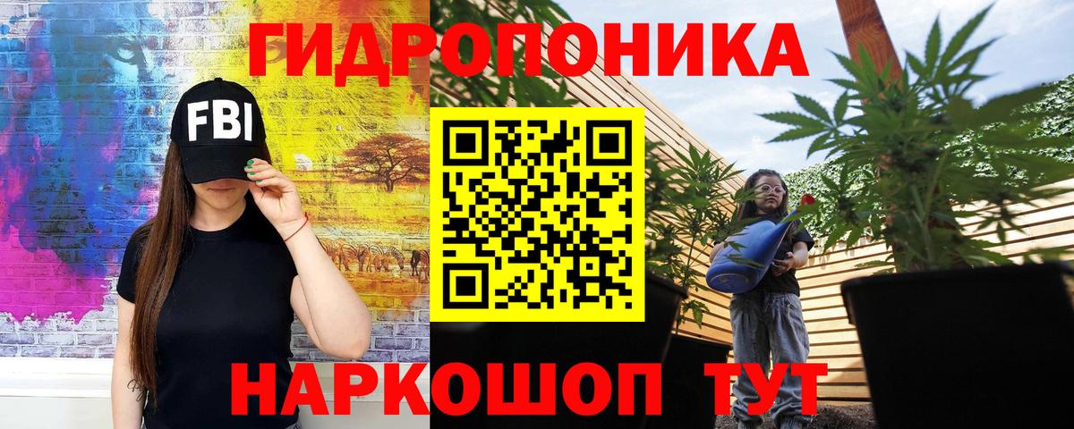 Шишки марихуана марихуана Советский